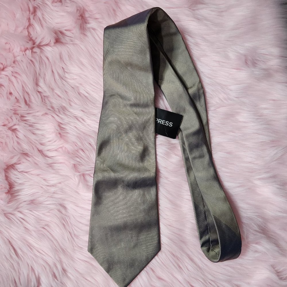 NWT Express Design Studio Men's Beige Shiny Striped Tie Professional Work Casual